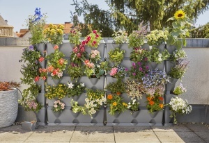 Sistem de irigare Gardena NatureUp pentru 12 plante, conectare la robinet - Img 3