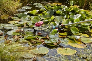 Unelte de gradina Gardena Teichreiniger Vario 2, 2-in-1, cu retea fina si groasa - Img 3