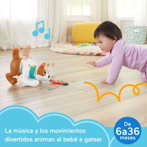 Caine de jucarie Fisher-Price 123 Crawl With Me Puppy, interactiv, cantec, design prietenos - Img 3