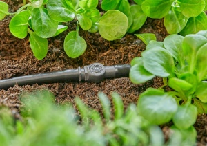 Conector pentru sistem de irigare Gardena Micro-Drip 4,6 mm, set 10 bucati - Img 6