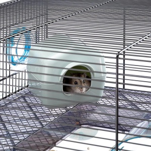 Cusca hamster Ferplast cusca rozatoare FAVOLA cusca pentru animale mici accesorii hamster incluse 60 x 37 x h 30 cm - Img 6