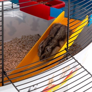 Cusca pentru hamsteri Ferplast cusca pentru rozatoare Circus Fun cusca pentru animale mici accesorii hamster incluse 50 x 34 x h 43 cm - Img 5