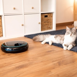 Dispenser automat pentru animale Cecotec Pumba 1600, capacitate 1.6 l, 4 compartimente - Img 6