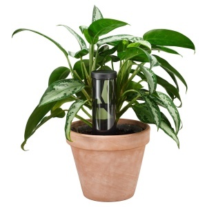 Dispenser de apa pentru plante Fiskars Urban Plant Care, 350 ml, ceramicaplastic, verde inchis - Img 5