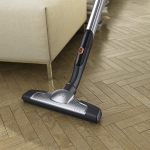 Duze pentru aspirator AEG AZE115, 330 mm, 100 par natural, gri - Img 2