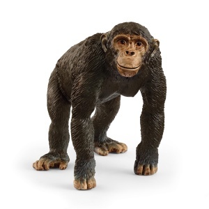 Figurina Schimpanze Schleich WILD Life 9 x 5 x 7 cm, Detaliu Realist, Ab 3 Ani