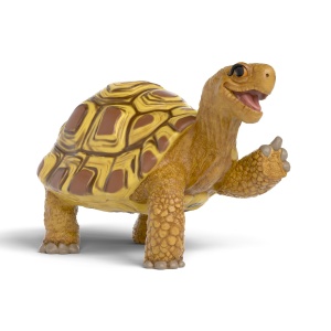 Figurina Schleich Henrietta 14910, 7 x 4 x 5 cm, Tortuga, prietenoasa