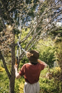 Foarfeca pentru taiat crengi Fiskars PowerGear X LX94-M, 64 cm, negruorange, pentru lemn proaspat - Img 13