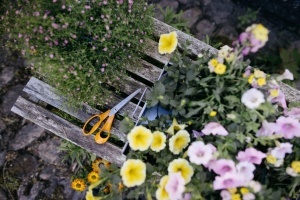Foarfeca universala Fiskars Classic, 21 cm, otel inoxidabil, maner ergonomic, portocalie - Img 4