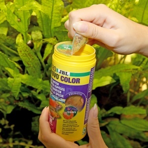 Furaj pentru pesti JBL PRONOVO COLOR FLAKES, 250 ml, pentru pesti de 8-20 cm - Img 5