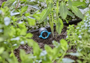 Gardena Micro-Dripper-System Picurator reglabil in linie de la 1 la 8 l/h, reglare a presiunii: Pentru plante cu cerinte diferite de apa, tehnologie de conectare simpla (13314-20) - Img 5