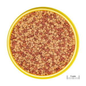 Granulat pentru pesti JBL PRONOVO COLOR GRANO CLICK, 250 ml, pentru pesti de 8-20 cm - Img 6