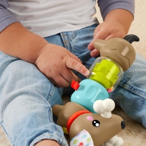 Jucarie pentru bebelusi Fisher-Price FP Pets Activitate Caine cu sunete si culori vii - Img 3