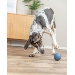 Jucarie pentru caini TRIXIE Snackball din cauciuc, 7 cm, roz - Img 3