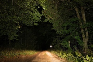 Lampa LED Osram LEDriving REVERSING FX120S-WD, 1100 lumeni, 15W - Img 6