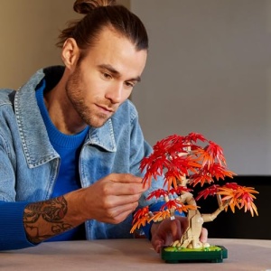 LEGO Botanicals 10348 Bonsai Japonez cu Frunze Rosii si Portocalii Set DIY pentru Adulti - Img 9