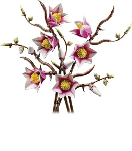 LEGO Botanicals Magnolienzweige 11510 Set decorativ cu magnolii artificiale pentru adulti - Img 9