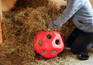 Minge de hrana Kerbl HeuBoy pentru cai si vitei, 3 kg, plastic UV, rosie - Img 2