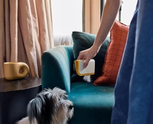 Perie Joseph Joseph CleanTech 3-in-1 pentru curatarea parului de animale de pe textile - Img 6