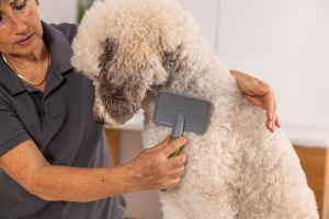 Perie mare pentru animale Wahl 2999-7075, cu maner ergonomic, pentru blana sanatoasa - Img 2