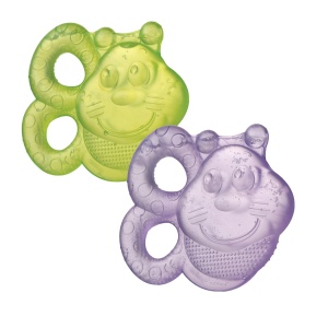 Playgro Beissring Biene 40200 Set 2 Bucati Multicolor Umplut cu Apa