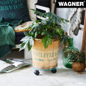 Roller pentru plante WAGNER 20016501 din sticla, diametru 28 cm, cu 3 roti - Img 2
