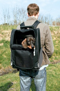 Rucsac pentru animale TRIXIE 2880, 32 45 25 cm, negrugri - Img 3
