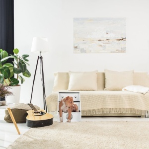 Scara pentru caini si pisici Relaxdays 3 trepte, 52,5x42x60 cm, albnegru - Img 2