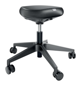 Scaun ergonomic Leitz Ergo 65780095 inaltime reglabila 46-59 cm cu roti negru