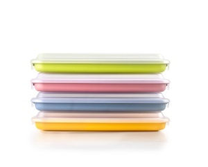 Set 4 Capace pentru Mezeluri IBILI, 24,8 x 14,4 x 3,3 cm, Plastic BPA-Free, Culori Diverse