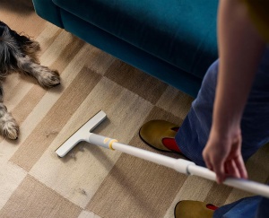 Set curatare pentru par de animale Joseph Joseph CleanTech 3 piese, cu maner telescopic - Img 7