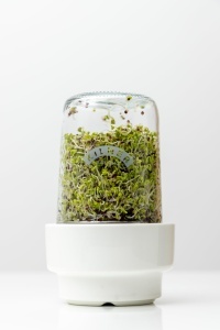 Set pentru germinare KILNER cu sticla de 500 ml, suport ceramic si design multi-nivel - Img 4