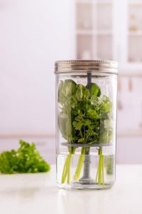 Set recipient pentru plante aromatice Kilner, 1 l, cu capac din inox si suport din silicon - Img 6