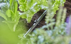 Sistem Micro-Drip Gardena 13208-20, 10 suporti pentru tevi 13 mm - Img 3