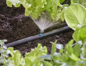 Spray pentru irigare Gardena Micro-Drip 90 grade, raza 2.5 m, set 5 buc - Img 5