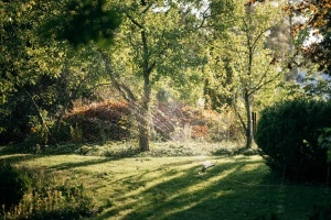 Sprinkler oscilant Fiskars X-Series SL, 300-500 m, negruorange - Img 3