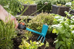 Unelte de gradina Gardena Kleinhackchen cu 3 zine, 6.5 cm, maner ergonomic - Img 4