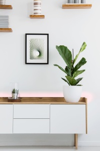 Banda LED EGLO connect 3m STRIPE-C, RGB, dimabila, autoadeziva - Img 5