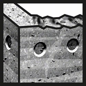 Burghiu Profesional Bosch SDS-plus-5, 6 mm, L115 mm, pentru Beton si Caramida - Img 6