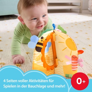 Caiet de Sarbatori Fisher-Price cu Activitati Sensoriale pentru Bebei - Img 2