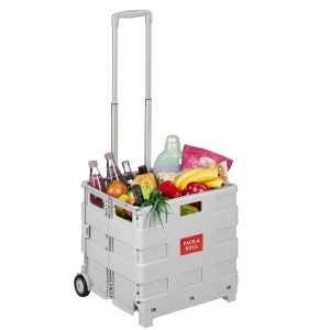 Carucior de cumparaturi Relaxdays, pliabil, capacitate 35 kg, culoare gri deschis