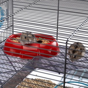 Cusca hamster Ferplast cusca rozatoare FAVOLA cusca pentru animale mici accesorii hamster incluse 60 x 37 x h 30 cm - Img 7