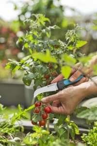 Cutit de Ergat Gardena VeggieCut din Otel Inoxidabil, 84 mm, cu Maner Antiderapant - Img 6