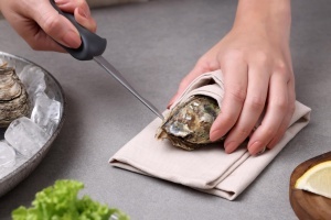 Cutit pentru deschis stridii Zyliss Shucker Paddy, lama din otel inoxidabil, maner ergonomic - Img 2