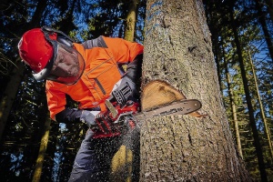 Drujba profesionala Einhell GP-LC 3635 Li-Solo 36V Brushless lungime taiere 33 cm - Img 4