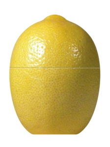 Fackelmann Lemon Saver Container din plastic galben 12x8x8 cm