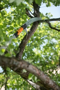 Feronerie pentru taiere Fiskars Wertastungssage, 55 cm, otel tratat, negruportocaliu - Img 9