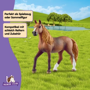 Figurina Cal Paso Peruano Schleich 13953, 12 x 16 x 3 cm, Detalii Realiste - Img 4