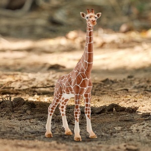 Figurina Schleich Wild Life Giraffenkuh 14750 Detalii Realiste 9 x 4 x 17 cm - Img 2