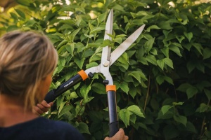 Fiskars Foarfece gard viu HS21, Pentru modelarea si taierea gardurilor vii si tufisurilor, lungime 59 cm, lame din otel calit/maner din plastic moale la atingere, negru/portocaliu, solid, 1026827 - Img 3
